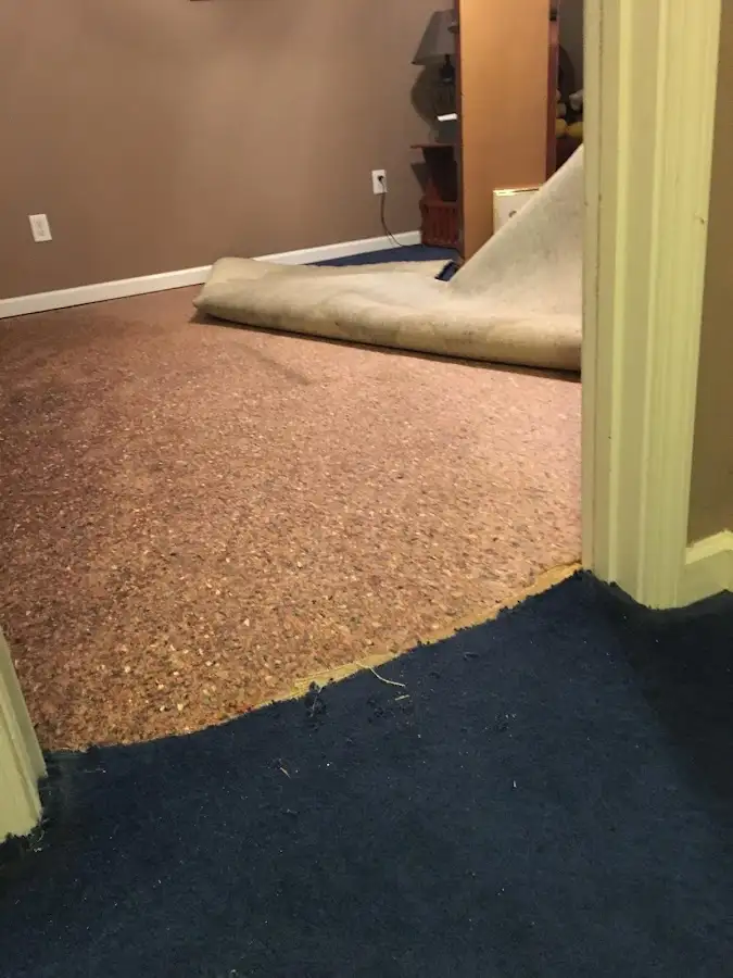 Carpet pad removal revealing water damage during Water Mitigation Services in Upper Darby